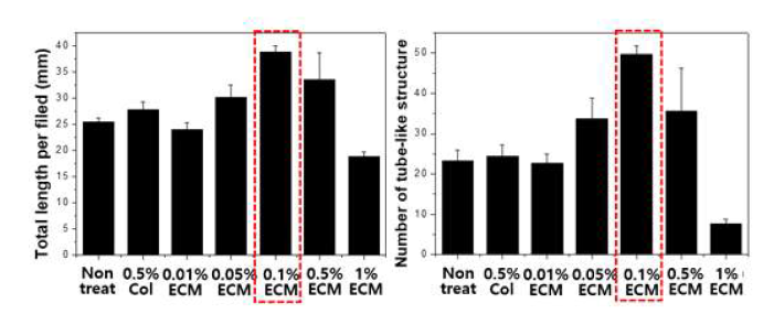 형성된 tube의 total length 및 tube-like structure의 개수 측정 결과