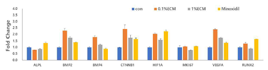 HDP세포의 증식 관련 유전자 발현 변화에 대한 ECM의 영향 평가