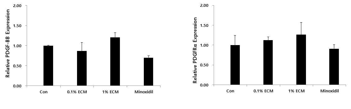 Hair growth promotion관련 PDGF factors에 대한 ECM의 영향 평가