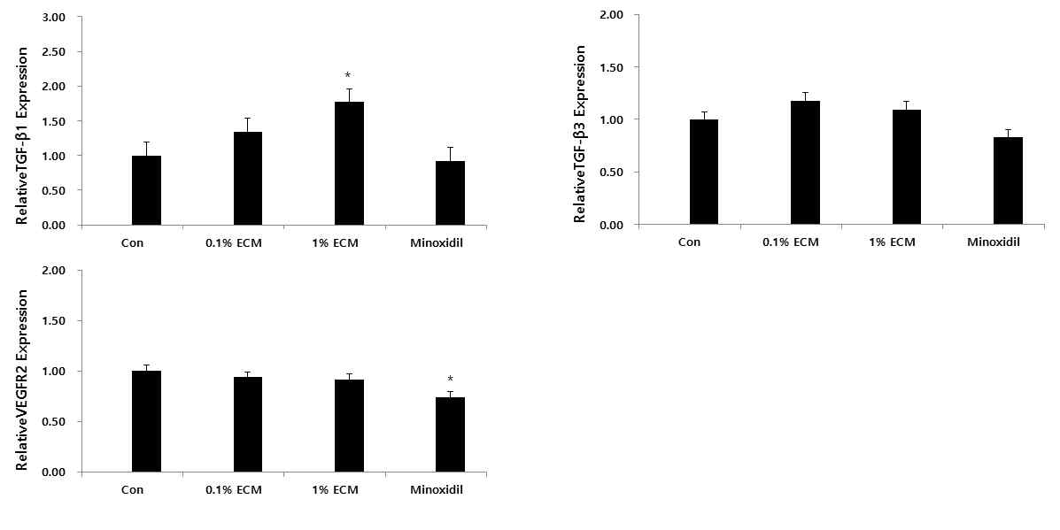Hair growth promotion관련 TGF-β와 VEGFR2에 대한 ECM의 영향 평가