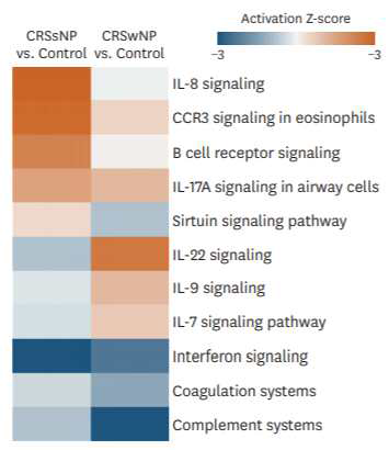 Canonical pathway analysis