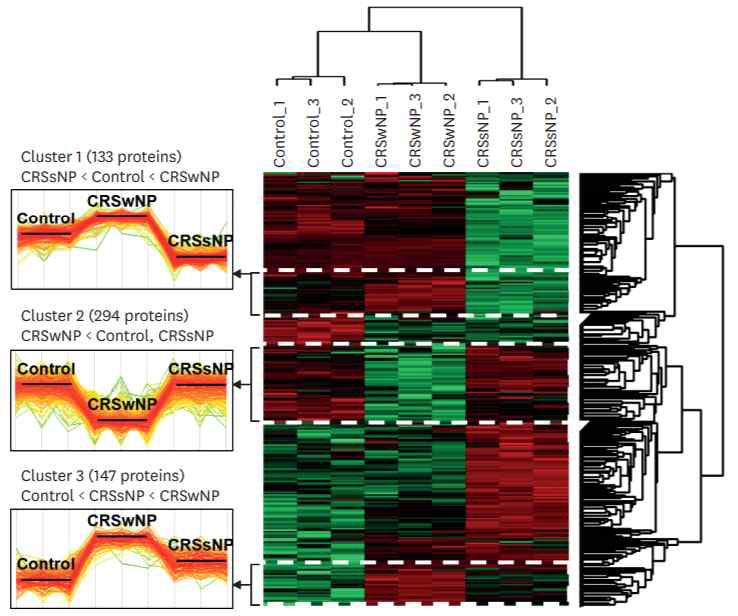 Hierarchical clustering of differentially expressed proteins among 3 groups in DDA set