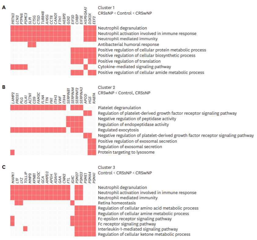 Clustergrams of the up- or down-regulated proteins in CRSwNP in DDA set