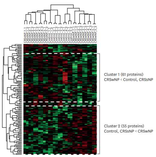 Hierarchical clustering of differentially expressed proteins among 3 groups in DIA set