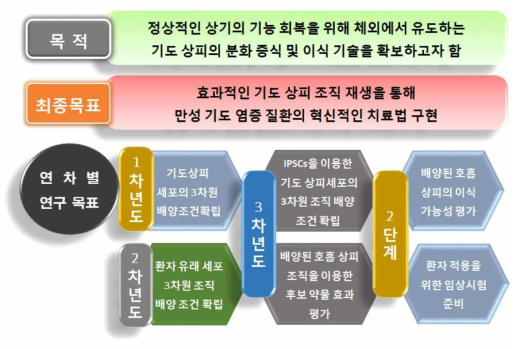 단계별 연구 개발 목표 모식도