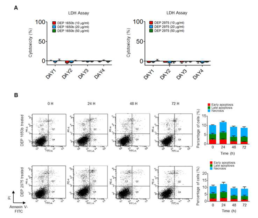 The effects of DEP to cytotoxicity, apoptosis and necrosis in hNECs