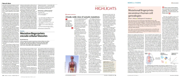 본 논문을 highlight한 Nature, Nature Reviews Genetics, Nature Reviews Nephrology의 News and Views articles