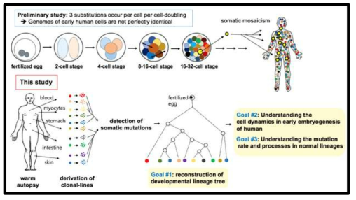 본 연구의 graphical abstract