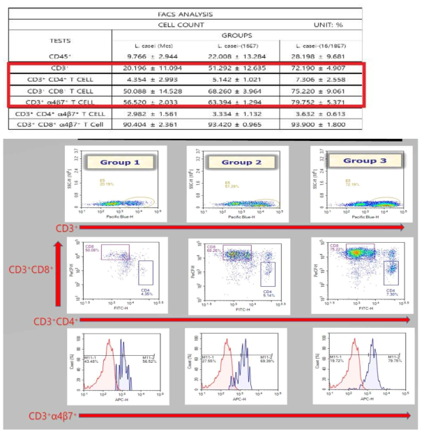 FACS을 이용한 소장 내 면역세포 phenotype 분석