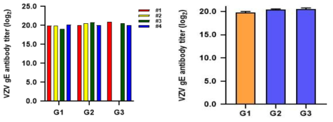 VZV gE 항원에 대한 Total IgG antibody titer