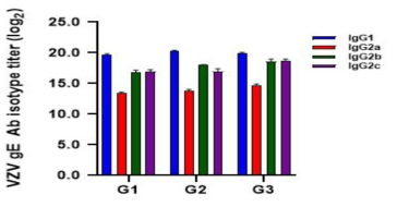 VZV gE　항원에 대한 IgG isotype titer