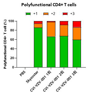 Polyfunctional CD4+ T cell 분석 결과