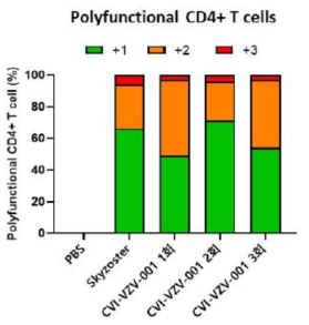 Polyfunctional CD4+ T cell 분석 결과