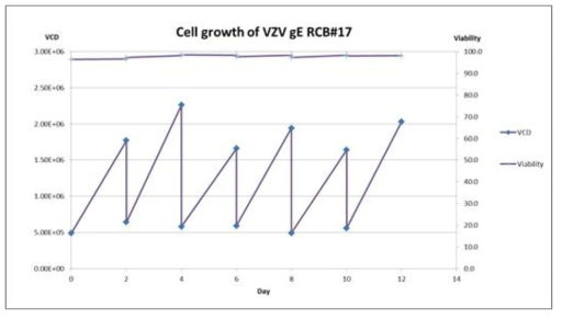 VZV gE RCB 세포성장 그래프