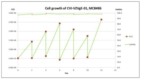 WCB 제조를 위한 MCB 세포성장 그래프