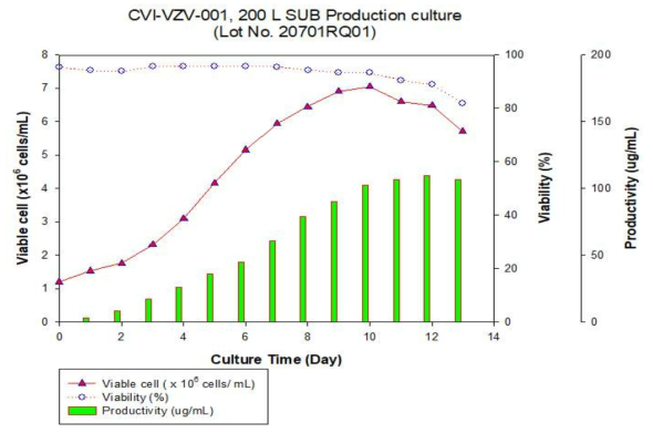 200 L 일회용배양기 생산배양 세포성장 및 생산성 그래프