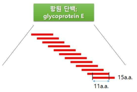 항원단백질에 대한 OLPs 제작 예시