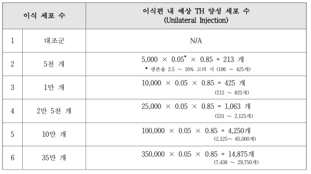 최소 이식 세포 수 탐색을 위한 실험군 설정