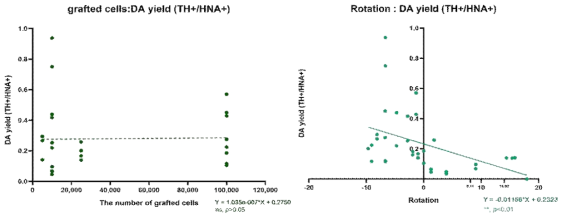 세포 이식 24주 후, 이식편(graft)에서 이식 세포 수에 따른 DA yield와 운동기능 회복 정도와의 상관관계 분석