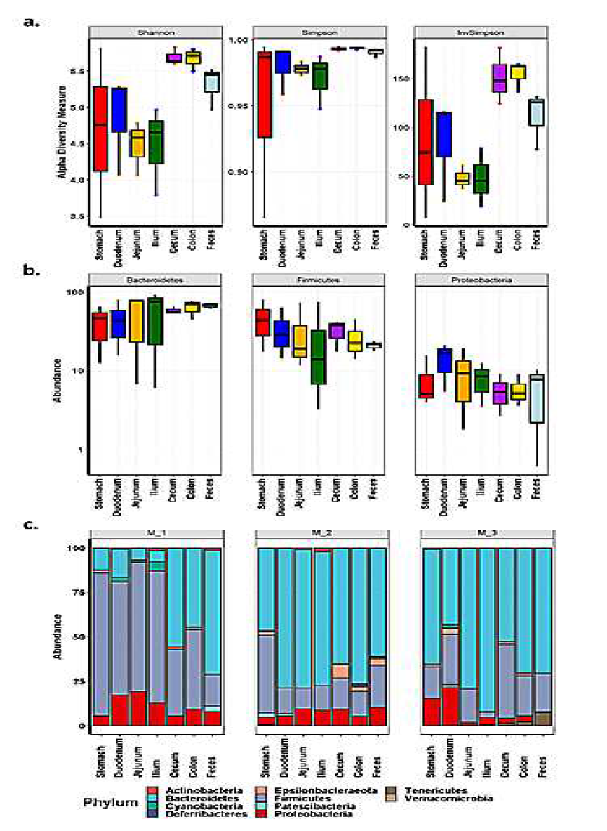 Comparison of microbial diversity at the different locations of the GI tract in a same mouse by α-diversity analysis. (a) Species richness and diversity measured by the Shannon, Simpson, and InvSimpson. (b) Comparison of relative abundances of the three main bacterial phyla found in every sampling site: Bacteroidetes, Firmicutes, Proteobacteria represented as relative abundances on the Y-axis. (c) Comparison of phyla (relative abundance of ≥ 5% in at least one GIT region) across GIT site and feces