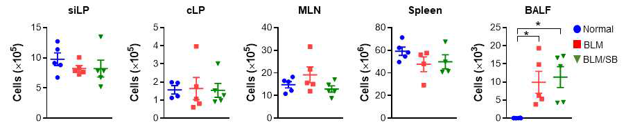 BLM scleroderma model에서 SB에 의한 CD4+ T cell 변화 분석. *P < 0.05
