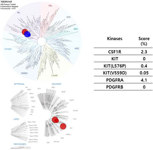 2011165의 kinase profiling data(<10%)