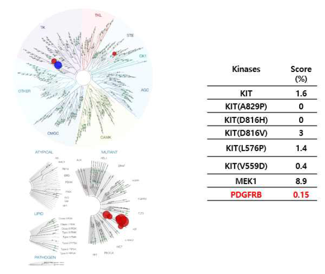 ND202696의 kinase profiling data(<10%)