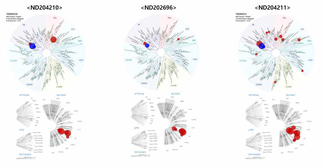 ND202696(racemic)의 분리한 화합물 신규 유도체의 Kinase profiling data(<10%)