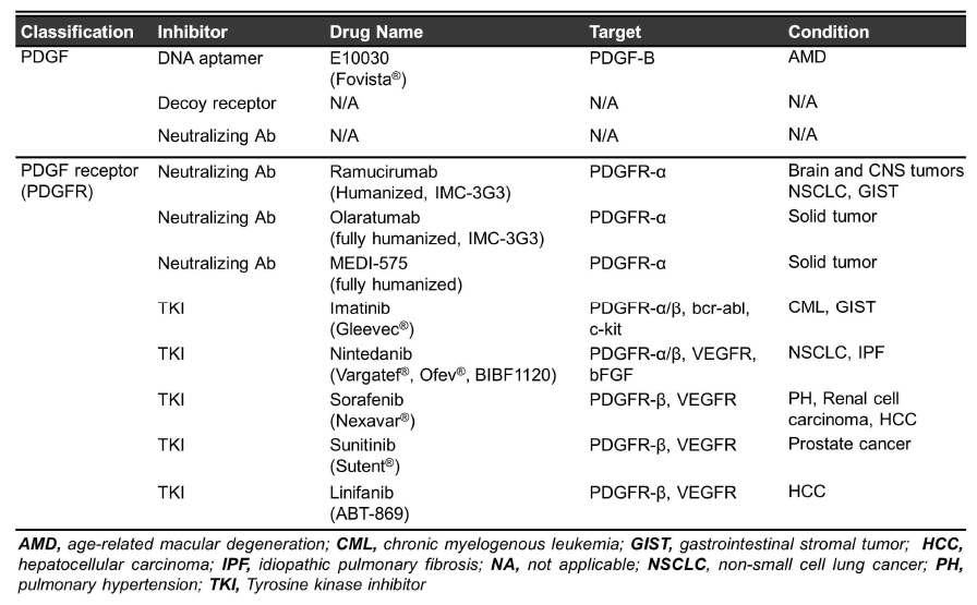 PDGF/PDGF 수용체–타겟 치료개발 현황