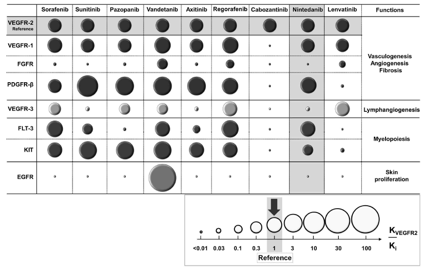 현재까지 개발되어 사용 중인 RTK inhibitor의 타겟별 억제효과 비교 표