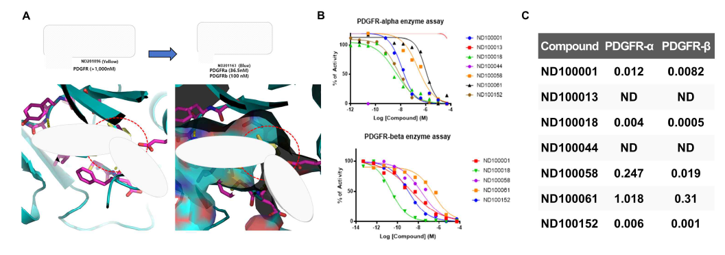 (A) Simulation model of Nintedanib interacted with PDGFRβ(B) PDGFRα and β selective activity of focused library compounds and (C) IC50 results