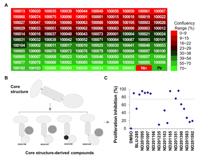 (A) Screening results of proliferation by focused library and (B) core structure and derived compounds by medicinal chemistry. (C) Screening results of core structure-derived compounds by proliferation assay