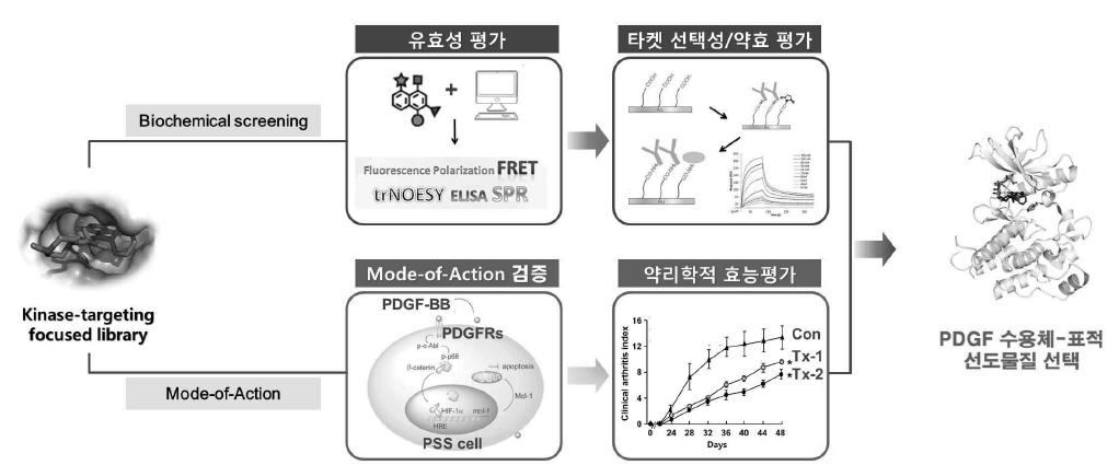 생물학적 유효성 평가 통한 PDGFR-표적 선도물질 발굴