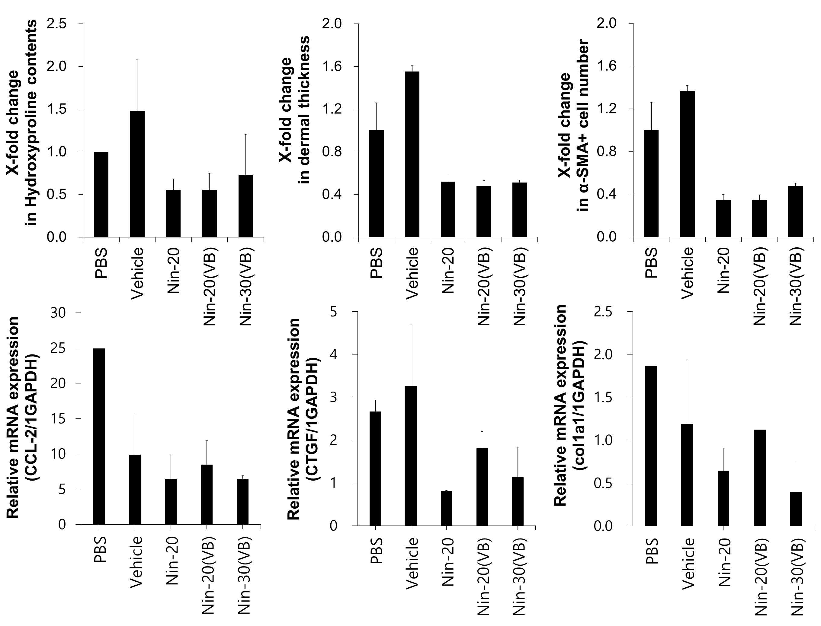 Quantification of histological analysis and fibrosisrelated transcript expression in nintedanib treated BISF mouse model