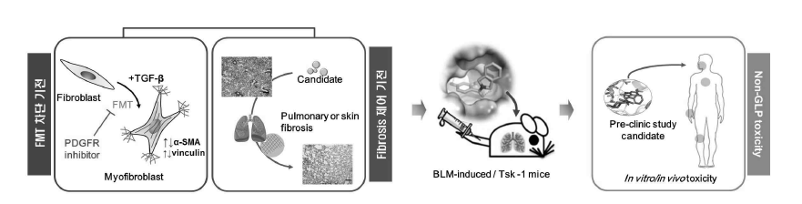 전임상 후보물질 도출 및 MOA 심화연구