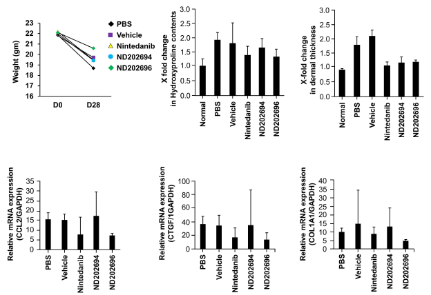 Evaluation of therapeutic efficacy in PDGFR-targeted compounds (ND202694, ND202696) treated BISF model. Therapeutic efficacy was quantified by dermal thickness, collagen accumulation and fibrosis mediator (CCL2, CTGF, Col1a) expression