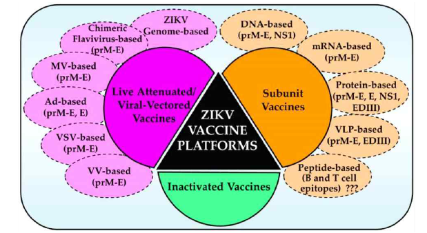 Schematic of various ZIKV vaccine platforms