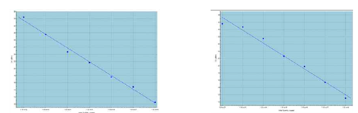 Annealing 55℃/Extension 72℃에서 #13, #21 standard curve analysis