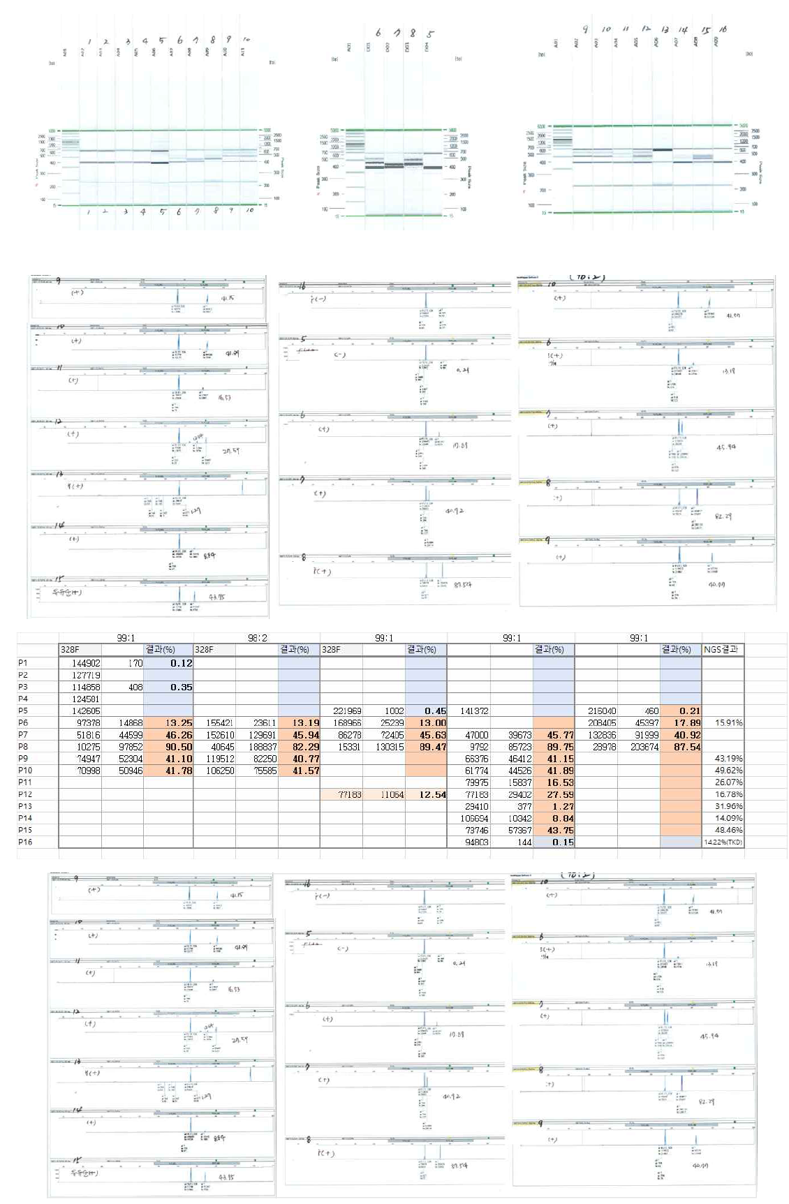 NGS 유전자검사에서 검출된 FLT3 변이에 대한 Fragment analysis 검증