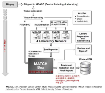 NCI-MATCH assay system의 worklow와 구성요소