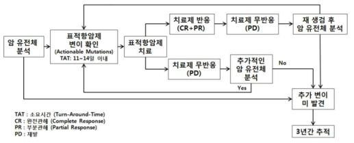 NGS를 활용한 유전체 정보 기반의 암 치료법 개발 모식도