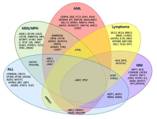혈액암 진단용 세부 질환별 유전자 구성