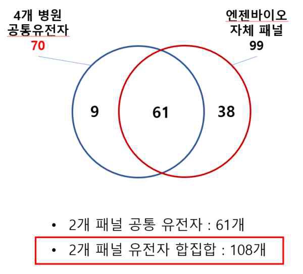 임상시험용 혈액암 검사키트의 유전자구성