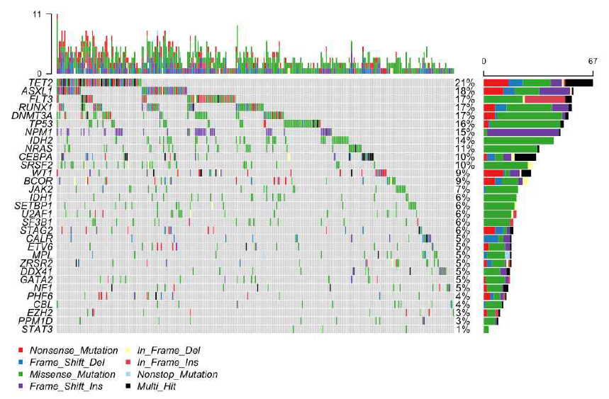 혈액암에 대한 NGS 분석결과를 각 유전자 및 변이유형에 대하여 표현(oncoplot)