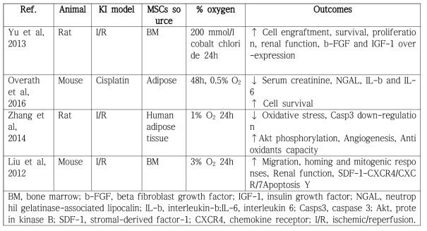 급성신손상 모델에서 저산소전처치 중간엽줄기세포의 비임상 연구