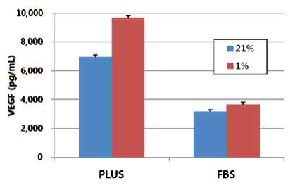 PLUS 및 FBS 배양 세포에서의 저산소 배양에 의한 분비량 양상 비교