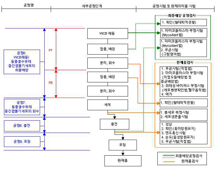 동종 골수유래 중간엽줄기세포 치료제 완제의약품 제조