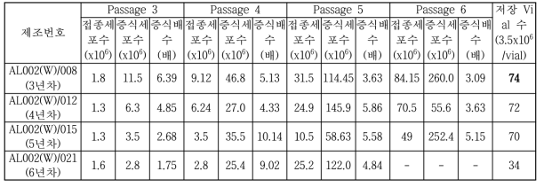 MCB 안정성 평가-세포배양결과