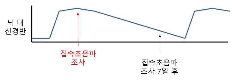 집속 초음파 반복 조사 조건 확립화