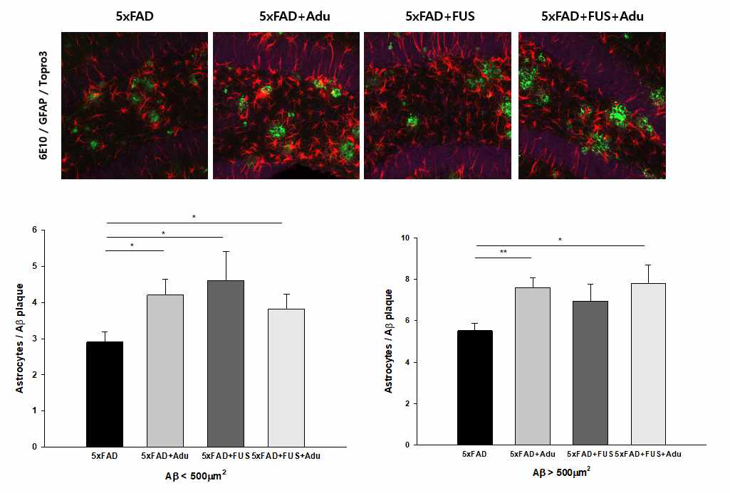 치료 그룹별 신경반(6E10), 별아교세포(GFAP) 형광염색 이미지 및 정량화 결과